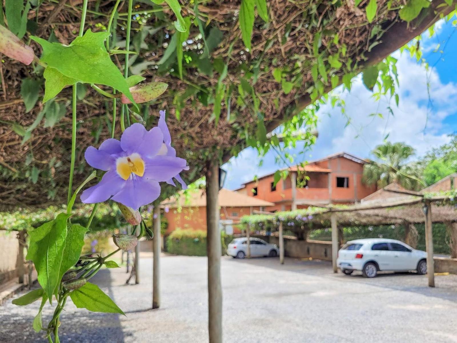 Hotel Pousada Aguas De Bonito Bonito  Luaran gambar